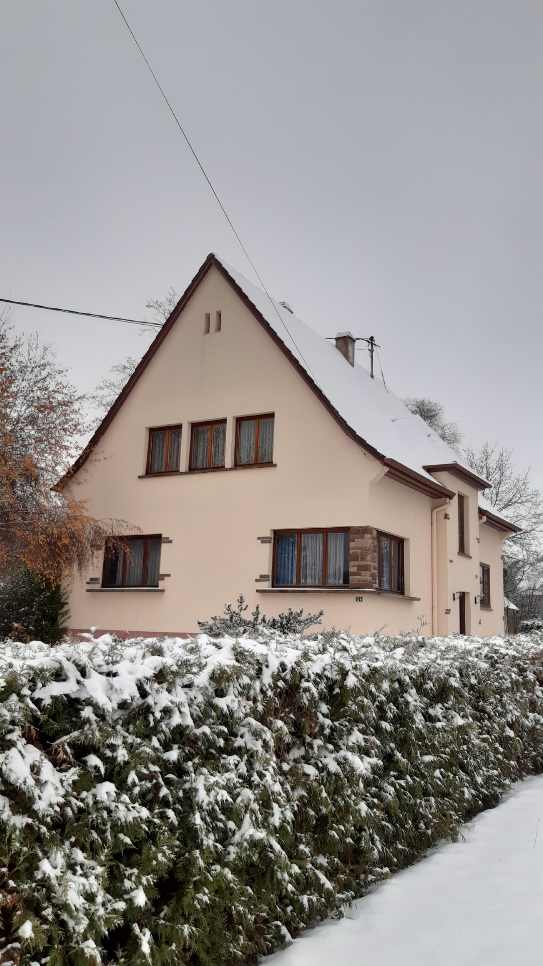 les capucines en hiver